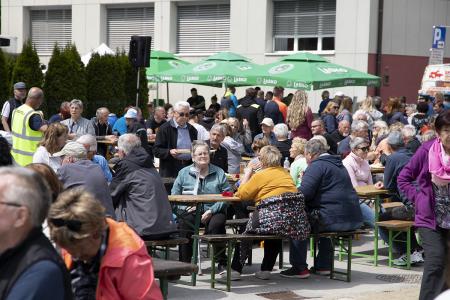 Praznovanje 1. maja - Živel 1. maj, praznik dela! (4)